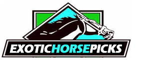 ExoticHorsePicks.com - Horse Racing Handicapping Service